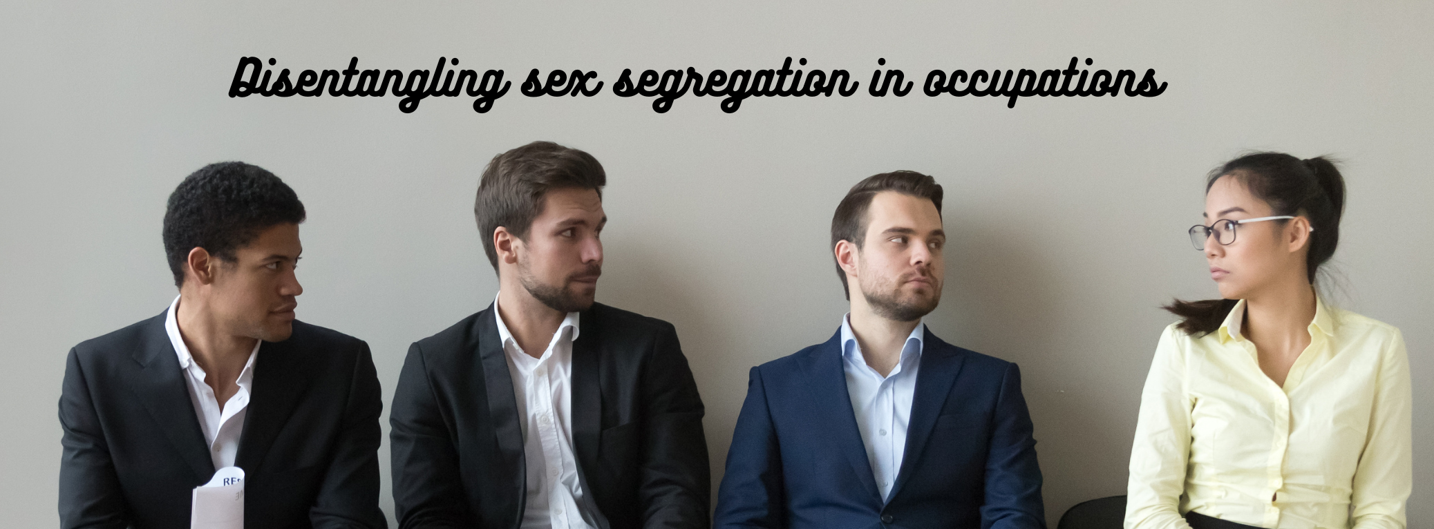 Disentangling sex segregation in occupations