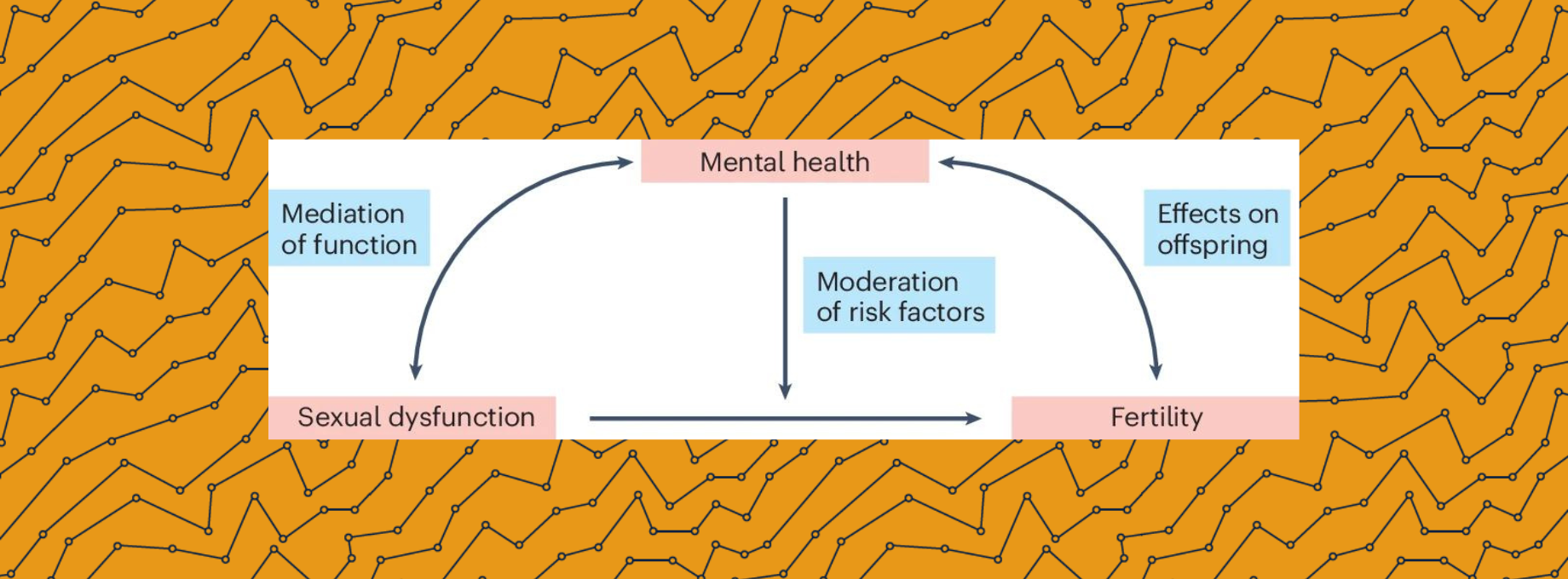 Study figure 1: Fig. 1: The interplay between male fertility, mental health and sexual function.